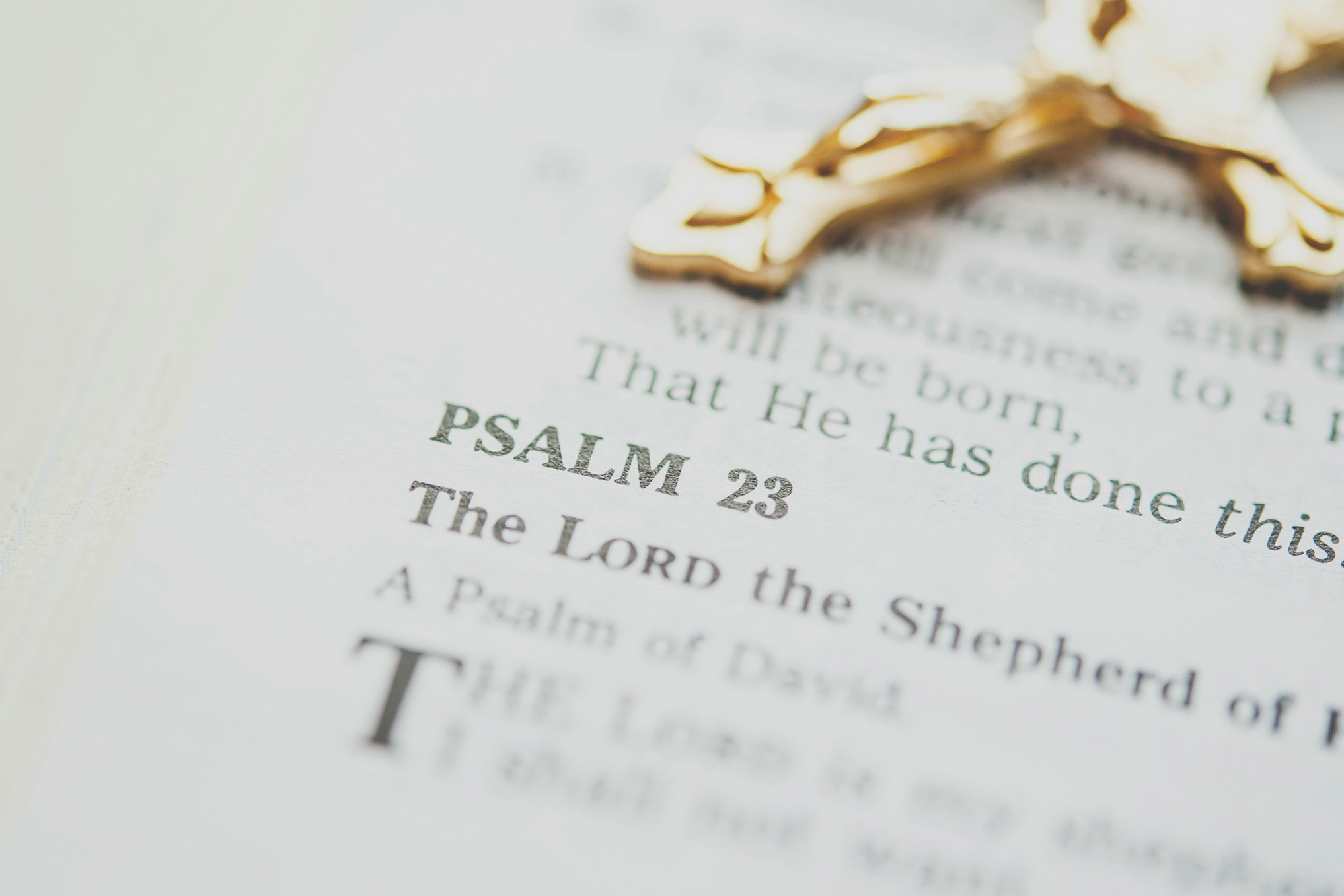 Eight Sundays, one great feast — how to celebrate every Sunday of ...